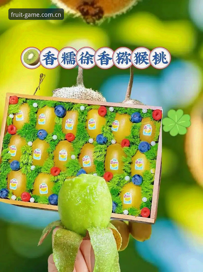 奇异果体育登录常见问题实用指南：从入口定位到版本更新一步到位