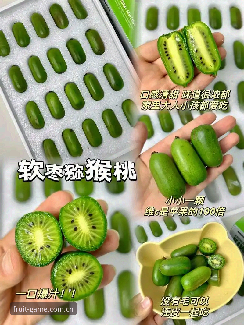 奇异果体育平台全面解析：功能、体验与移动端入口深度分析