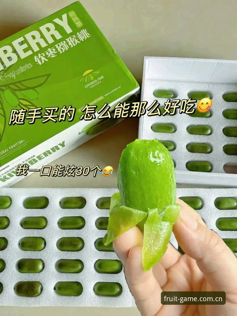 揭秘奇异果体育安卓版使用指南：你不知道的稳定体验背后的技术细节