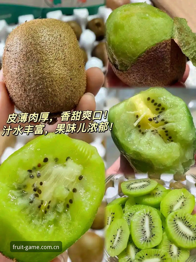 奇异果体育官方入口 奇异果体育官方入口:技术评测视角下的3种最优接入方案与5大核心优势