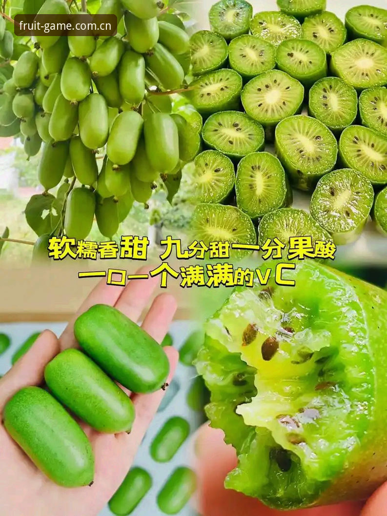 奇异果体育网页版实战经验：稳定入口怎么找，这份心得讲透登录与更新